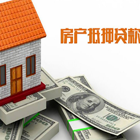 延平贷款公司新渝启服怎么选择